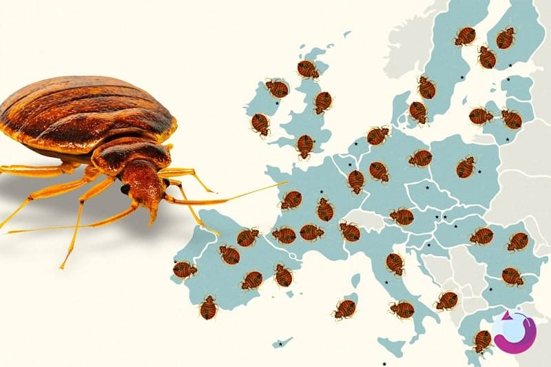چگونه در پاریس از نیش ساس‌ها در امان بمانیم؟