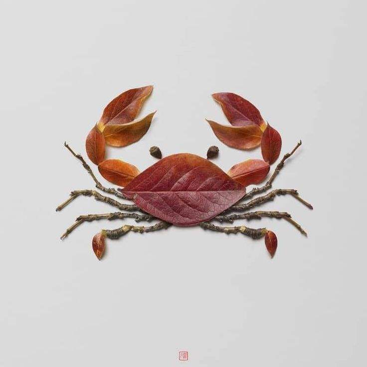 Artist Forages Fallen Flora and Arranges It Into Exquisite Portraits of Animals and Insects 2