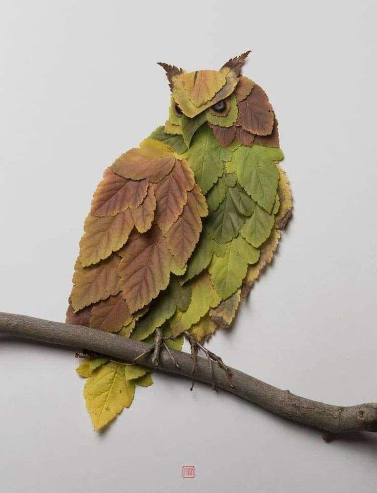 Artist Forages Fallen Flora and Arranges It Into Exquisite Portraits of Animals and Insects