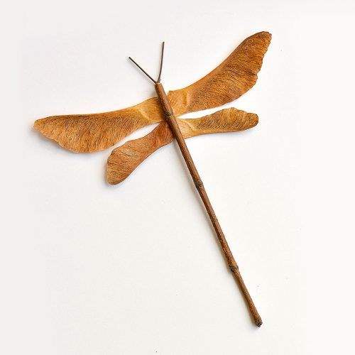 Autumn Leaf Butterflies and Dragonflies Autumn Nature Craft