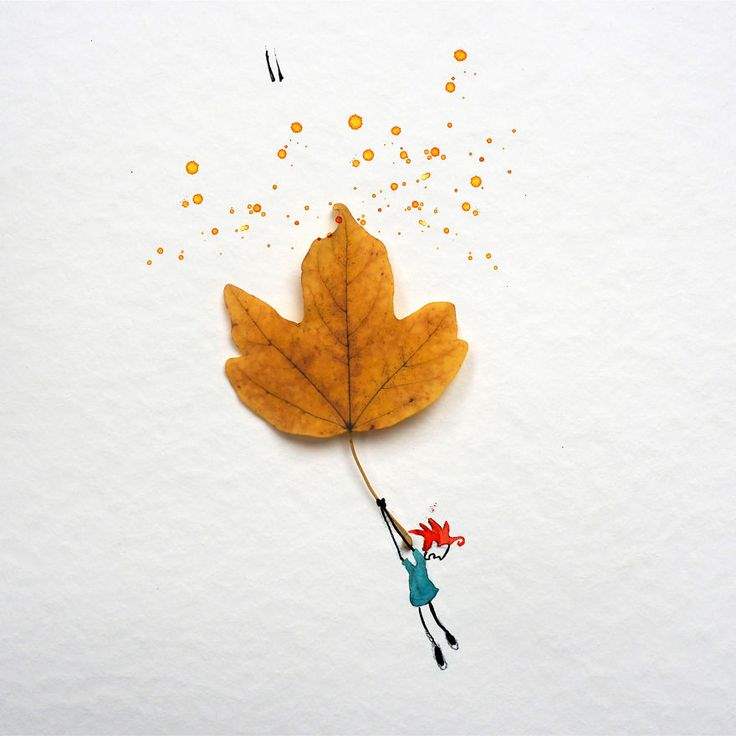 Fall 1