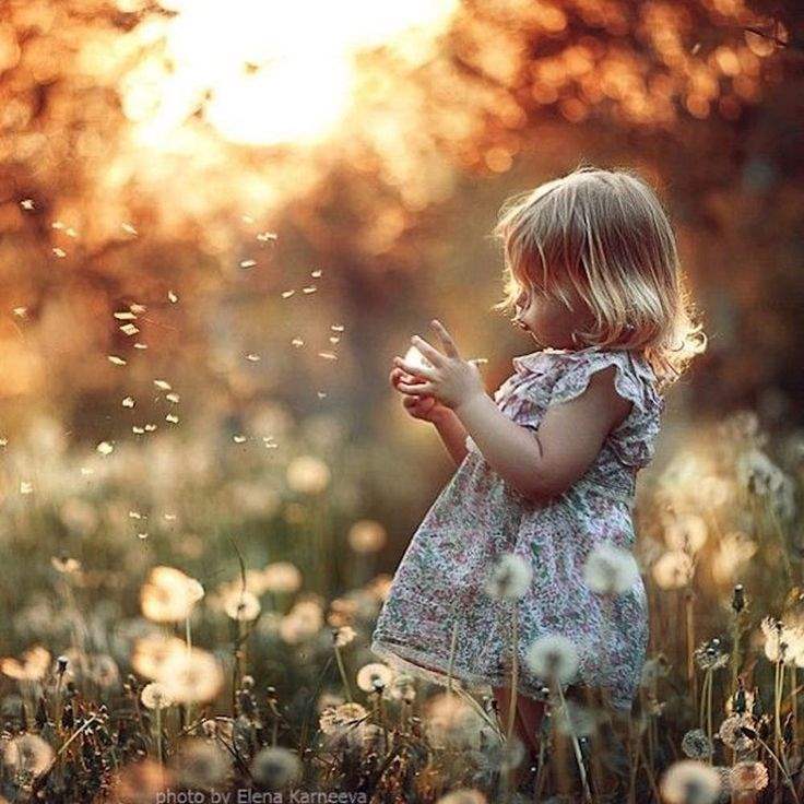 عکس قاصدک در دست دختر برای پروفایل