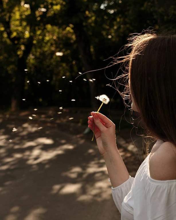 عکس قاصدک در دست دختر برای پروفایل