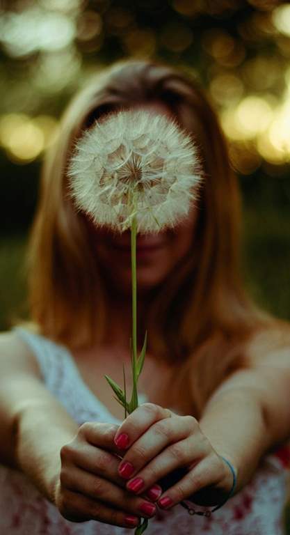 عکس قاصدک در دست دختر برای پروفایل