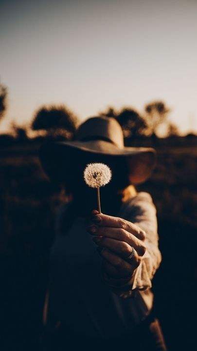 عکس قاصدک در دست دختر برای پروفایل