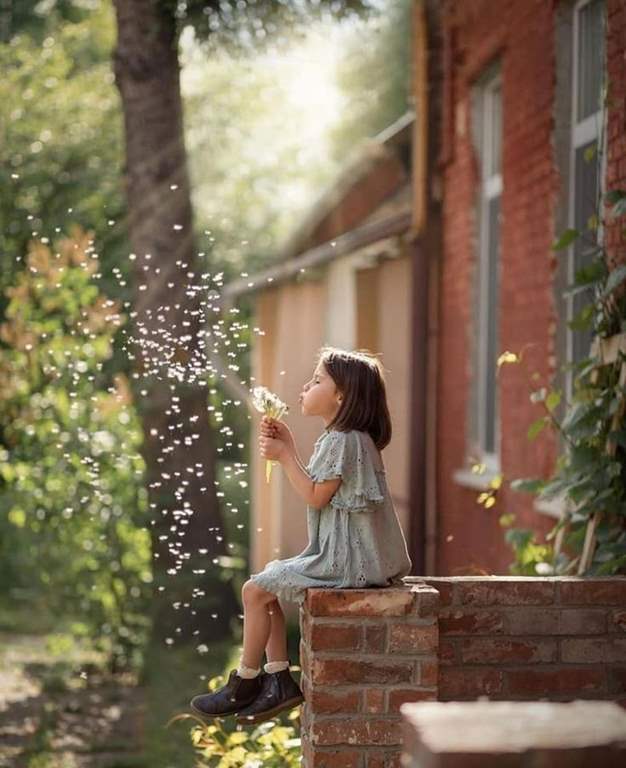 عکس قاصدک در دست دختر برای پروفایل