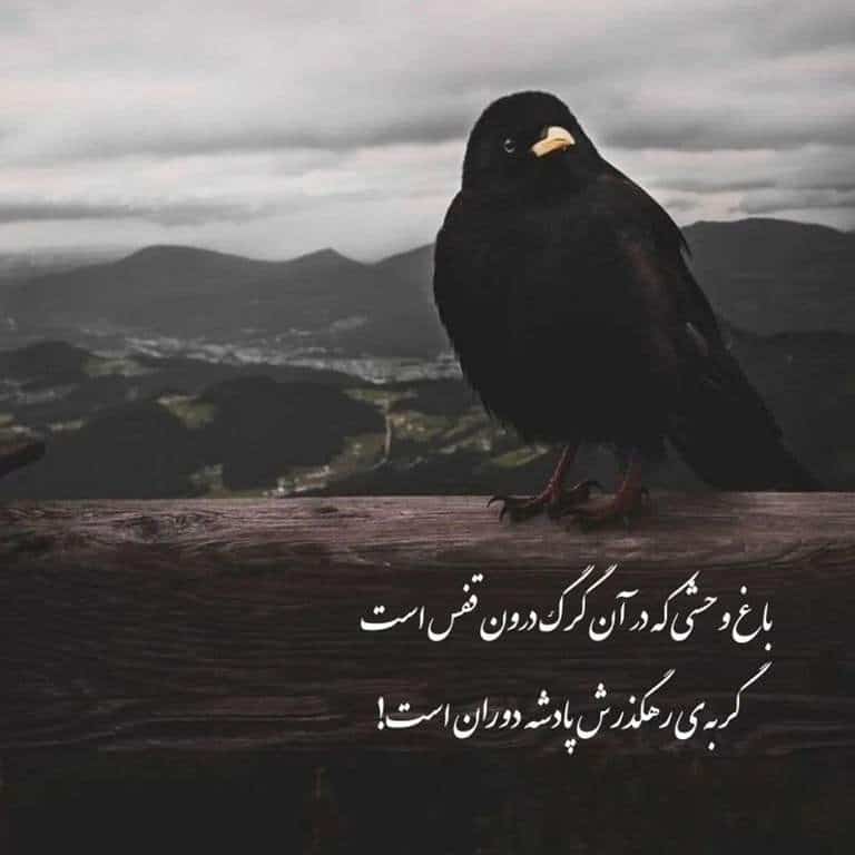 74 عکس پروفایل پسرانه لاتی با متن