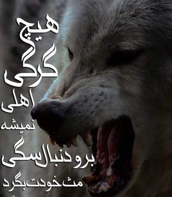 74 عکس پروفایل پسرانه لاتی با متن