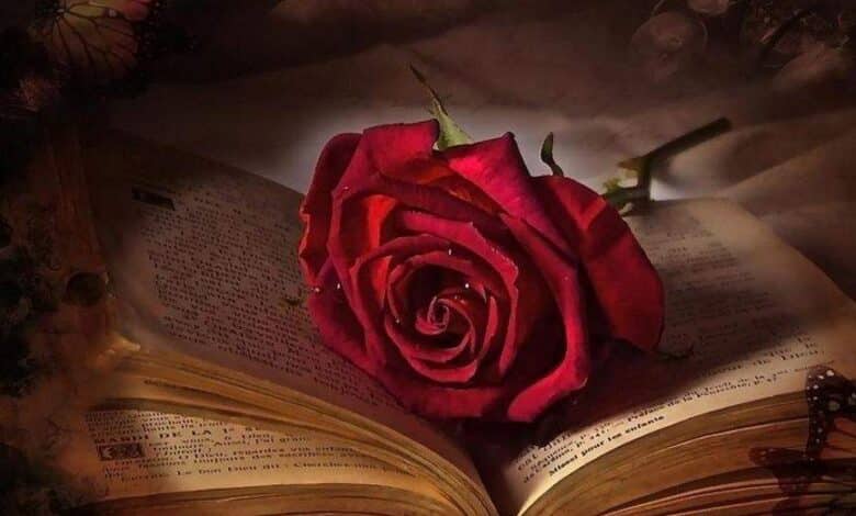 جملات فلسفی ناب در مورد عشق واقعی
