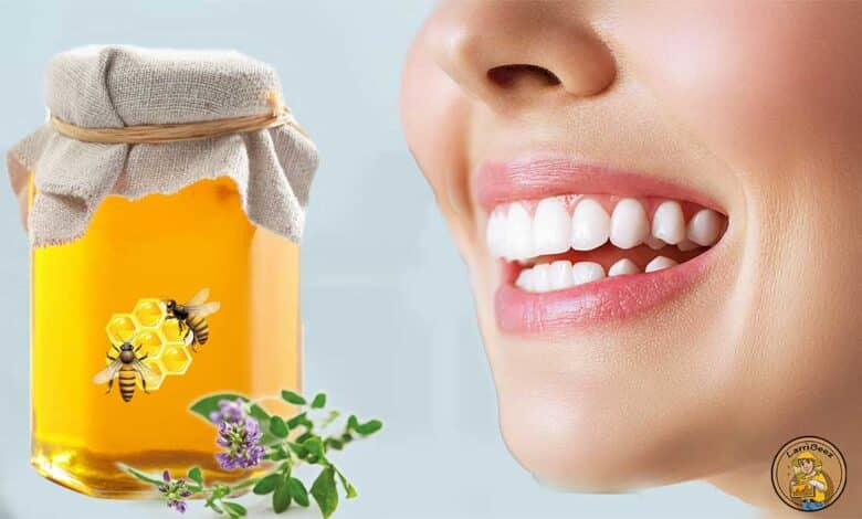 ترکیبات موجود در عسل طبیعی + خواص عسل برای دهان و دندان
