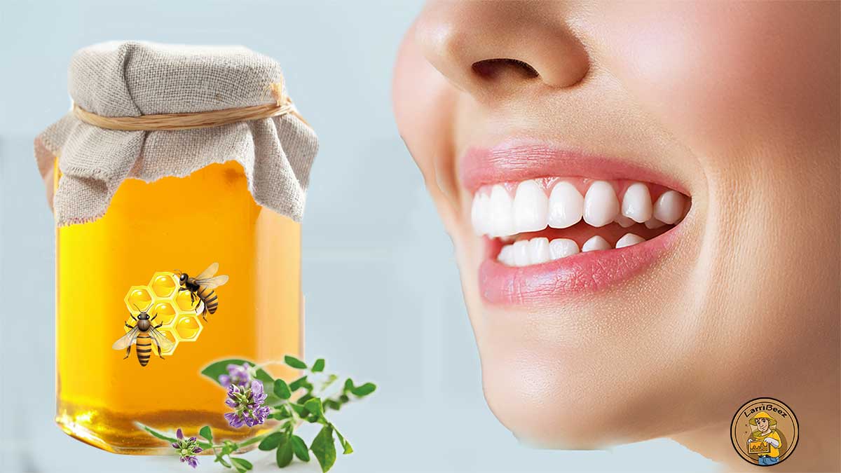 ترکیبات موجود در عسل طبیعی + خواص عسل برای دهان و دندان