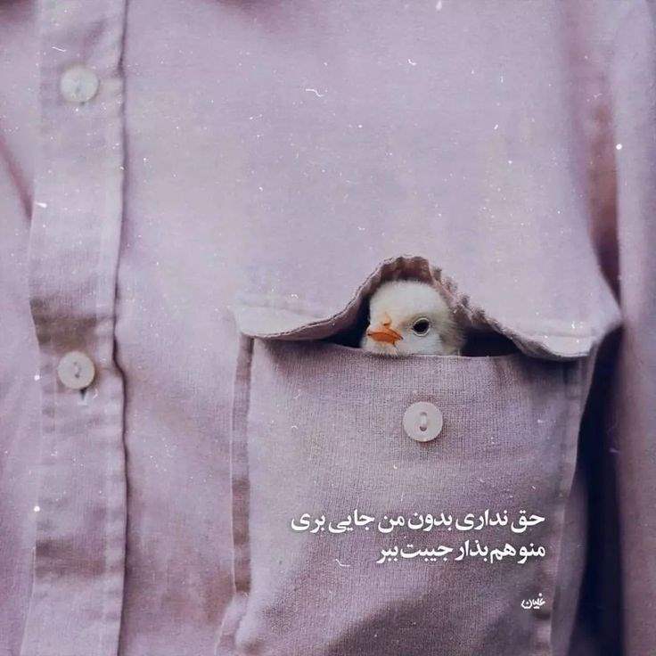 عکس پروفایل جدید امسال عاشقانه با متن + عکس پروفایل دو نفره عاشقانه