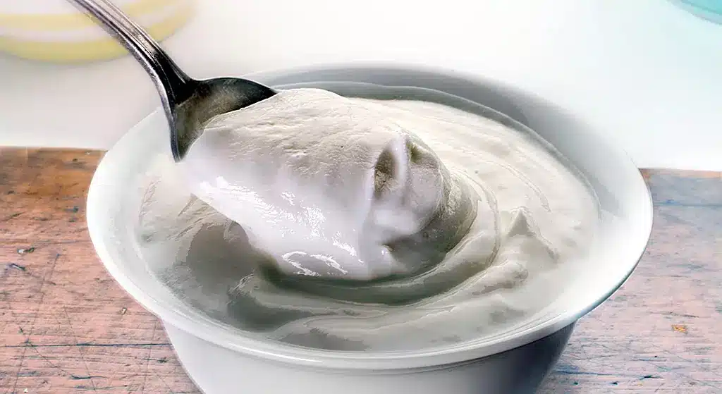 تهیه پروتئین وی خانگی با ماست - تصویر 4 تهیه پروتئین وی خانگی با ماست