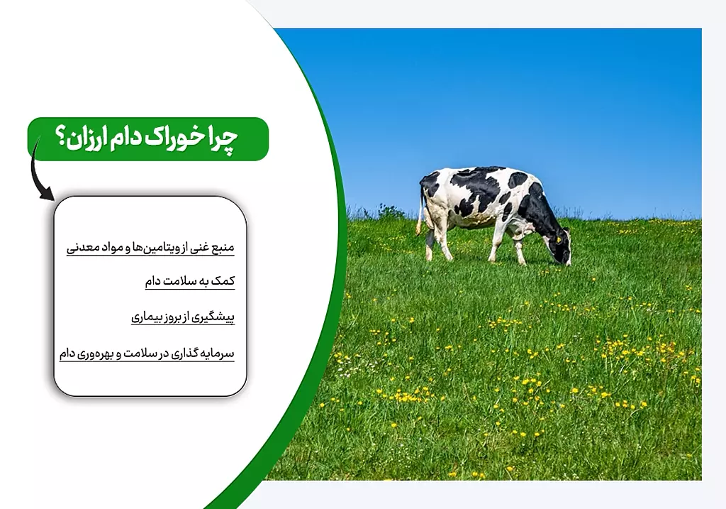 خوراک دام ارزان