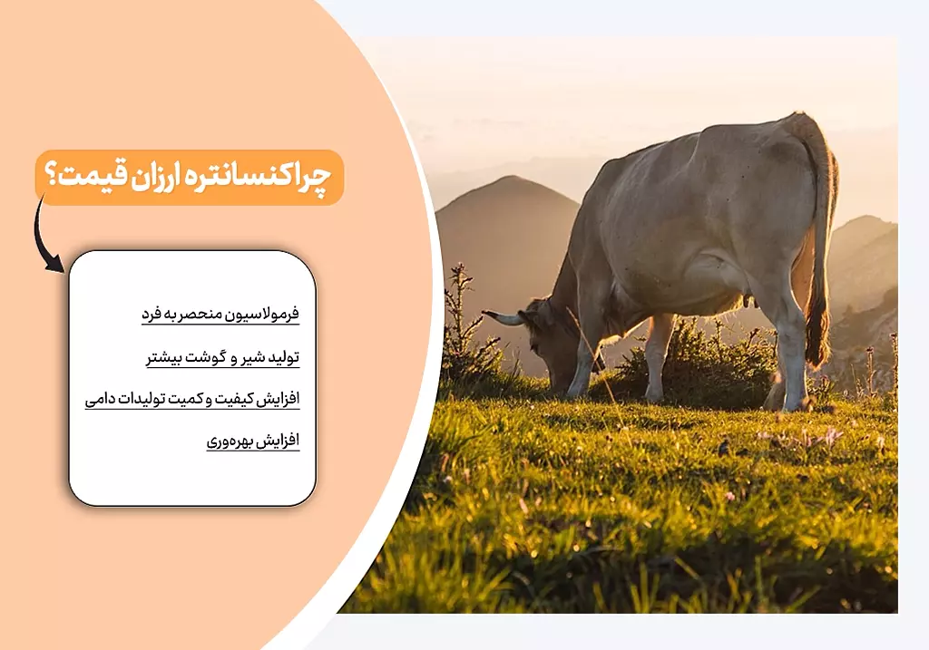 کنسانتره ارزان قیمت