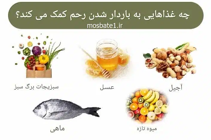 تقویت تخمدان و بارداری سریع (2) برای تقویت تخمدان و بارداری سریع چه بخوریم