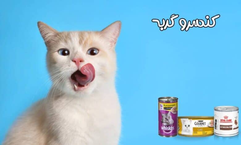 معرفی 3 برند محبوب کنسرو گربه