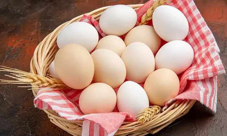 هر تخم مرغ چند گرم پروتئین دارد