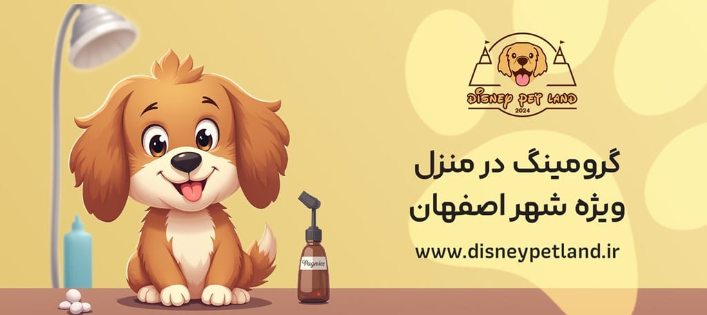 گرومینگ و آرایش سگ در منزل