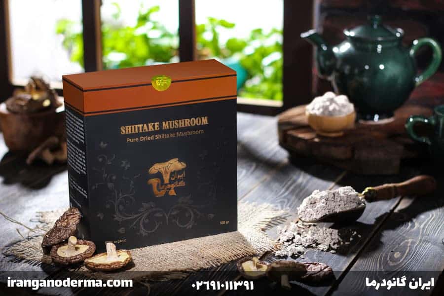 دنیای شگفت-انگیز قارچ-ها- طبیعت، طعم و درمان - تصویر 1 دنیای شگفت انگیز قارچ ها طبیعت، طعم و درمان تصویر 1
