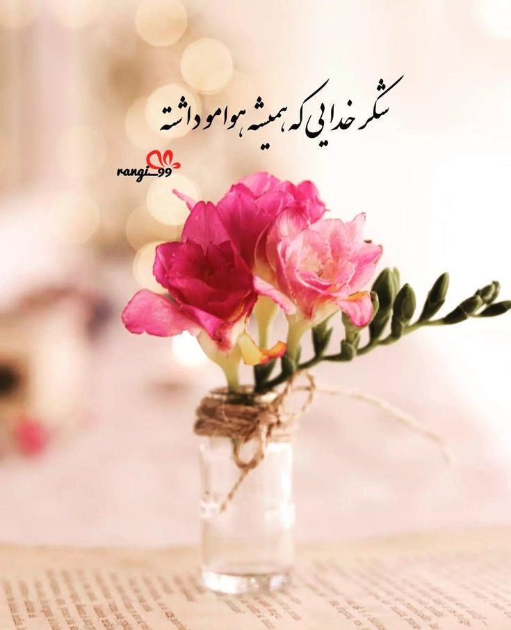 عکس خدایا شکرت برای تصویر زمینه و پروفایل 14