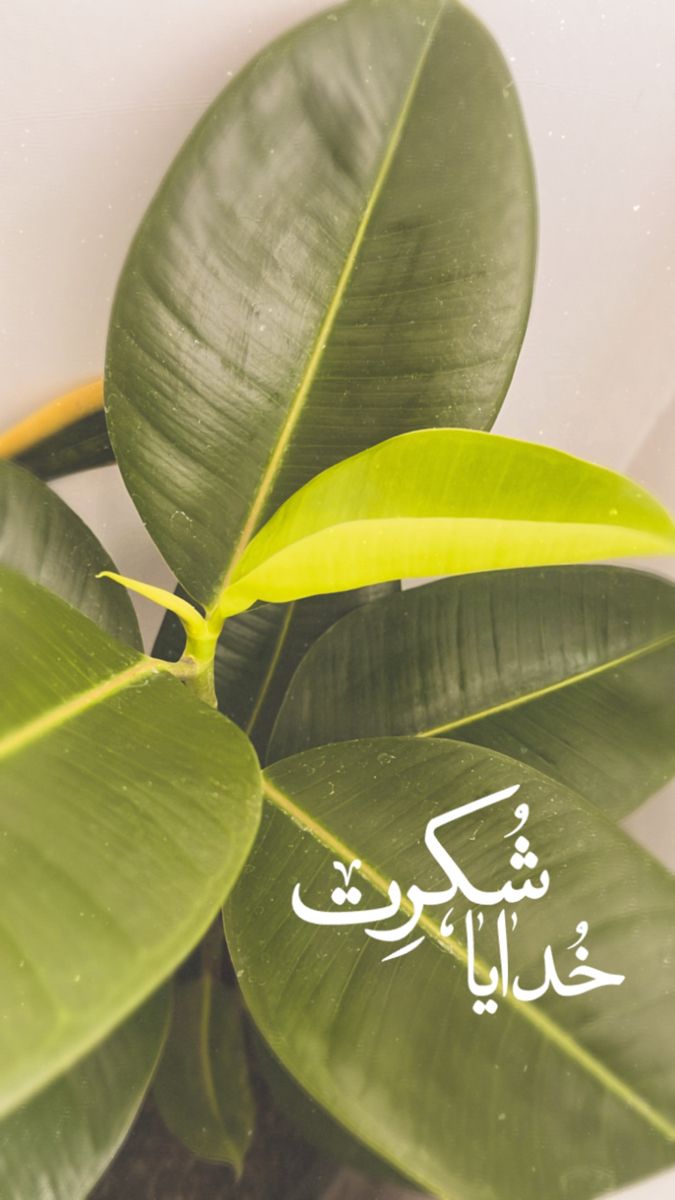 عکس خدایا شکرت برای تصویر زمینه و پروفایل 17