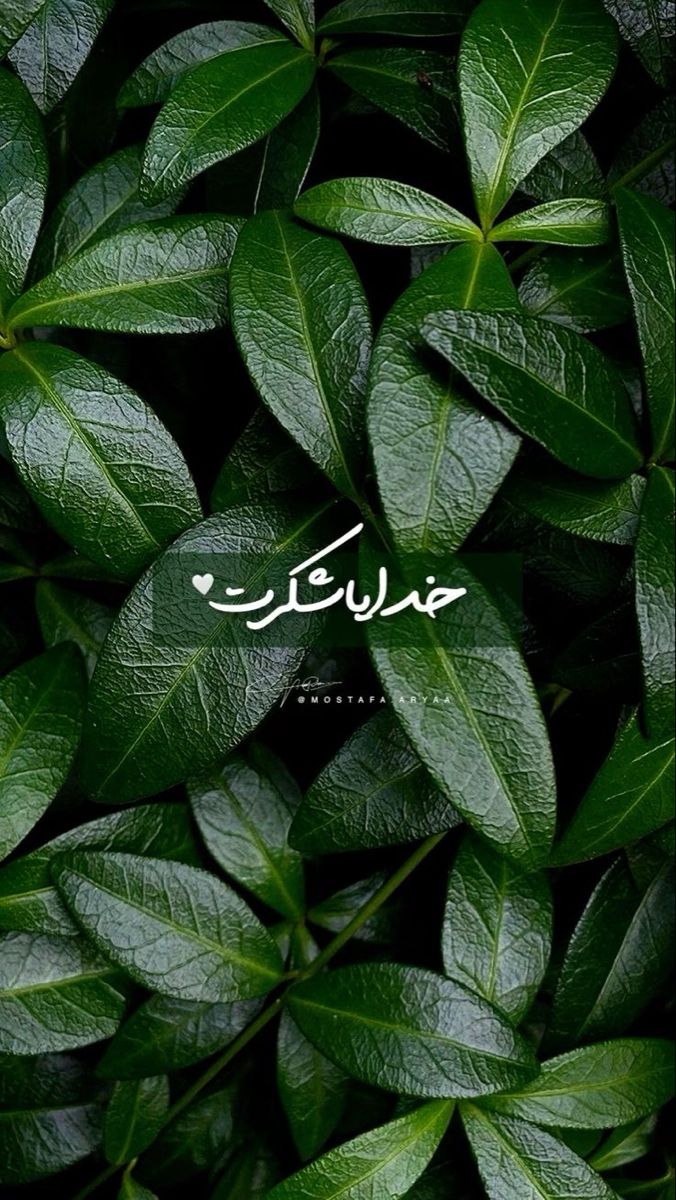 عکس خدایا شکرت برای تصویر زمینه و پروفایل 21