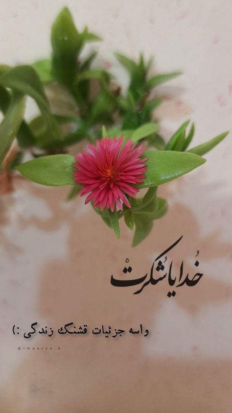 عکس خدایا شکرت برای تصویر زمینه و پروفایل 22