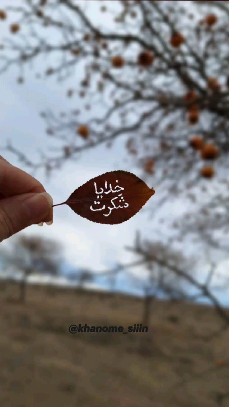 عکس خدایا شکرت برای تصویر زمینه و پروفایل 31