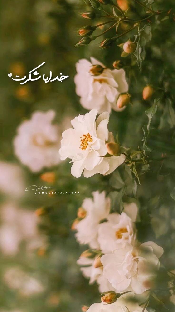 عکس خدایا شکرت برای تصویر زمینه و پروفایل 33