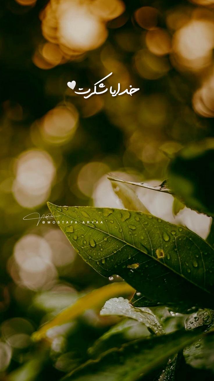 عکس خدایا شکرت برای تصویر زمینه و پروفایل 37