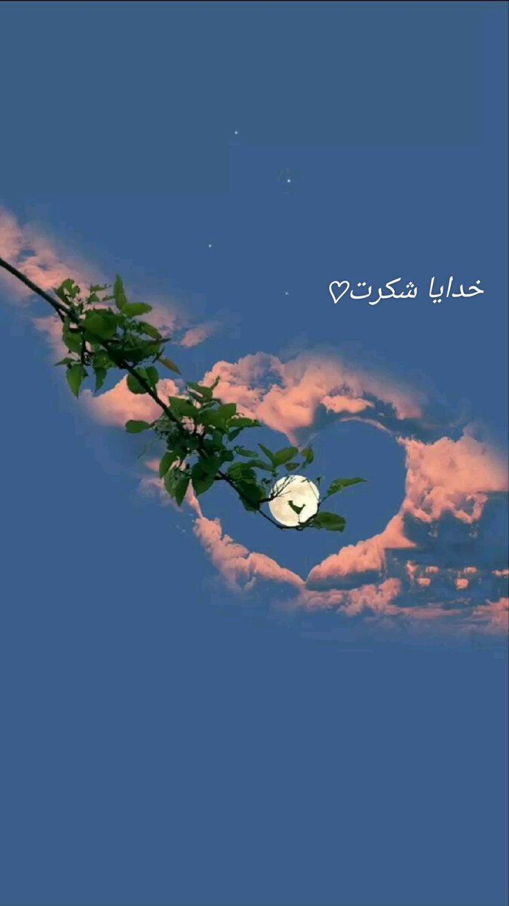 عکس خدایا شکرت برای تصویر زمینه و پروفایل 39