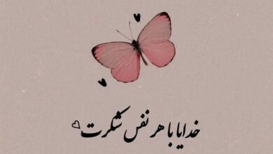 عکس نوشته خدایا شکرت برای تصویر زمینه و پروفایل ⭐️ [خاص‌ترین تصاویر]