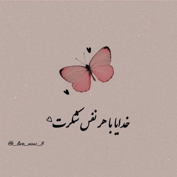 عکس نوشته خدایا شکرت برای تصویر زمینه و پروفایل ⭐️ [خاص‌ترین تصاویر]