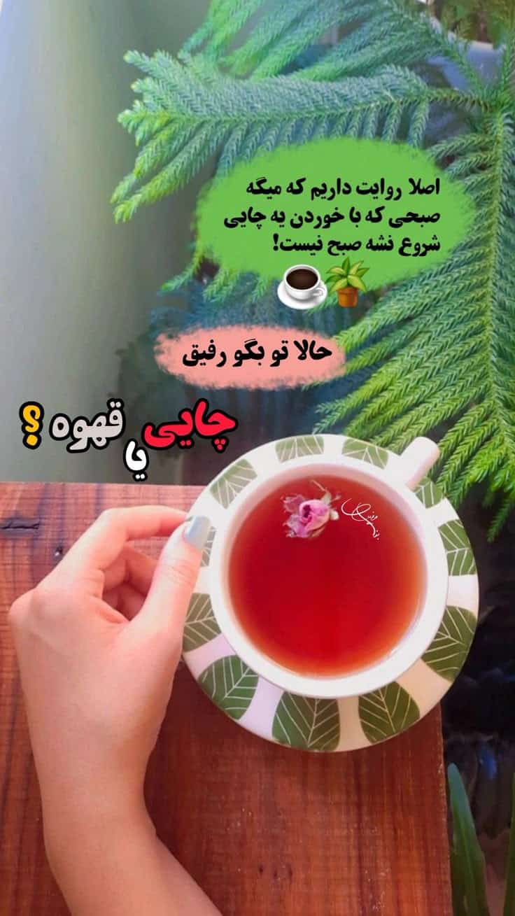 استوری ریپلای خور برای صبح بخیر 5