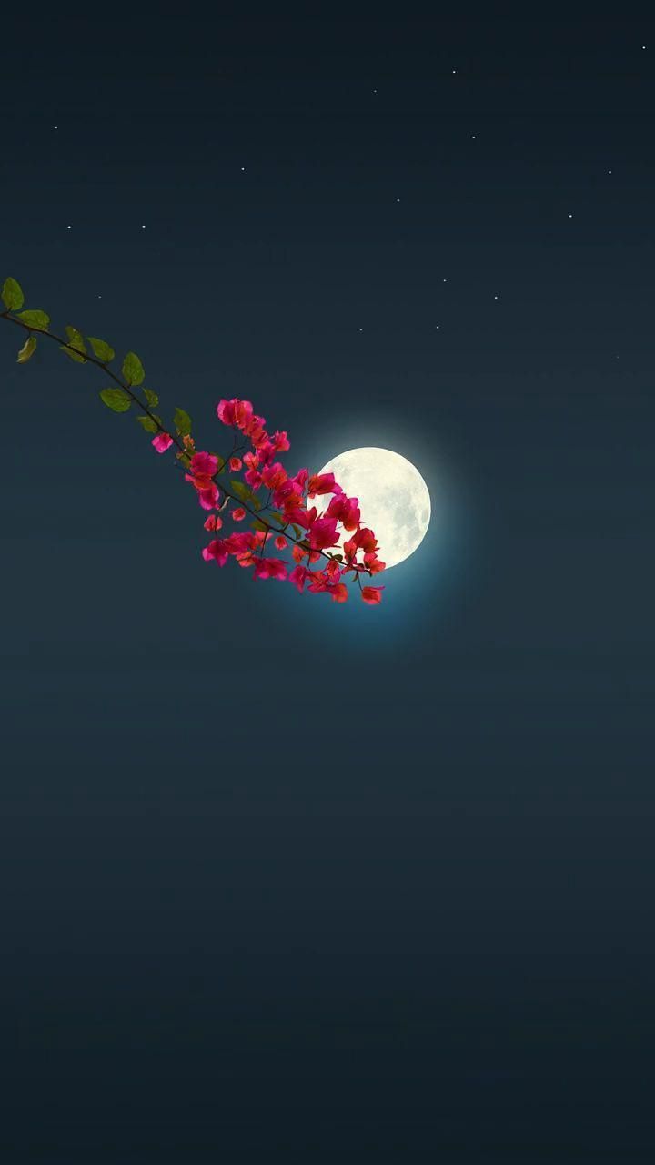 استوری فیک آسمان شب 59