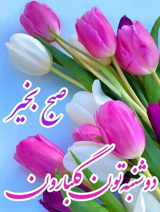 صبح دوشنبه تون بخیر 1