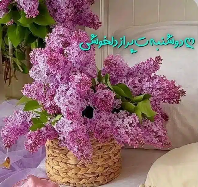 صبح دوشنبه تون بخیر 1