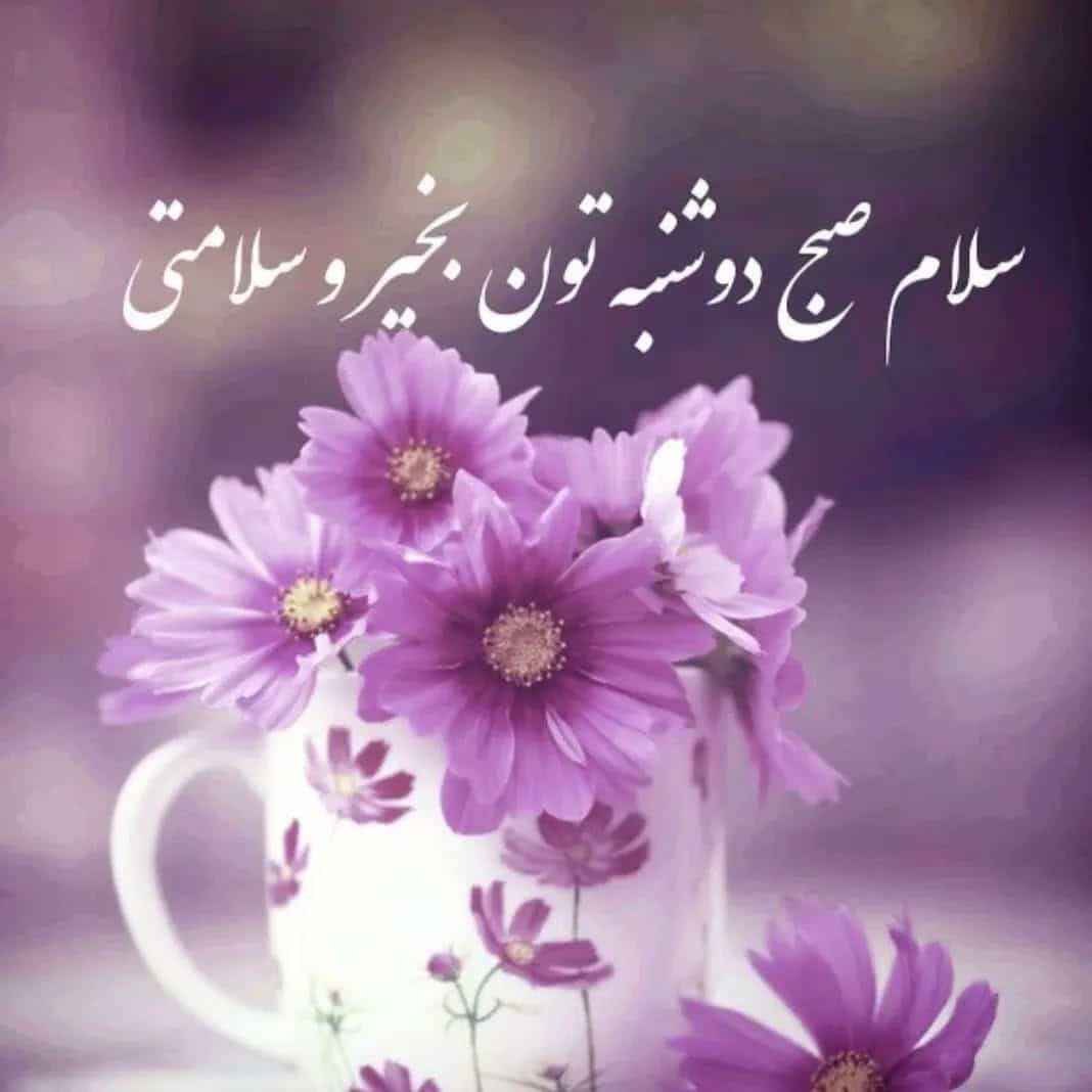 صبح دوشنبه تون بخیر 3