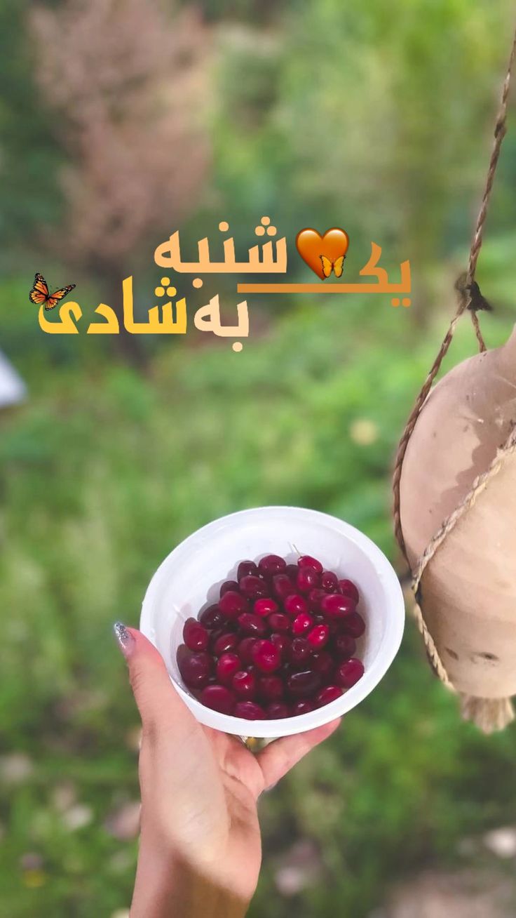 صبح یکشنبه تون بخیر 1