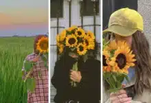 عکس دختر با گل آفتابگردان برای پروفایل 🌻‎ [ژست عکاسی در مزرعه آفتابگردان]