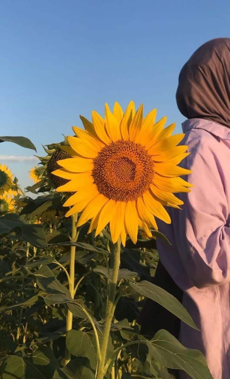عکس دختر با گل آفتابگردان 28