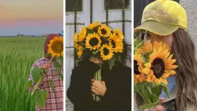 عکس دختر با گل آفتابگردان برای پروفایل 🌻‎ [ژست عکاسی در مزرعه آفتابگردان]