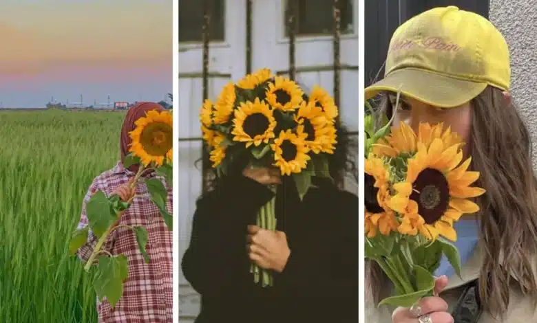 عکس دختر با گل آفتابگردان برای پروفایل 🌻‎ [ژست عکاسی در مزرعه آفتابگردان]