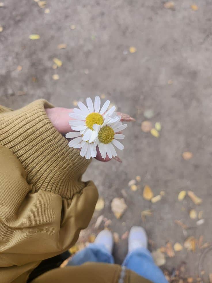 عکس دختر با گل بابونه 10