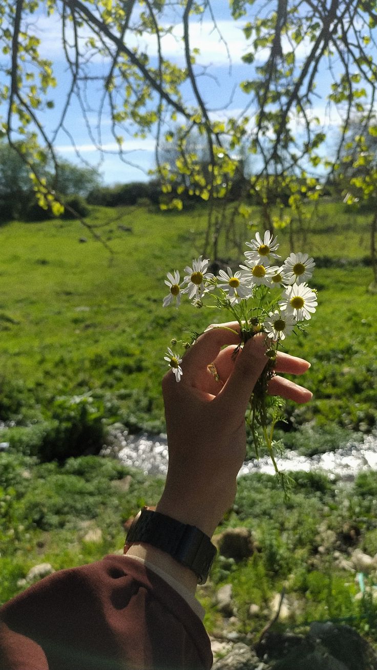 عکس دختر با گل بابونه 11