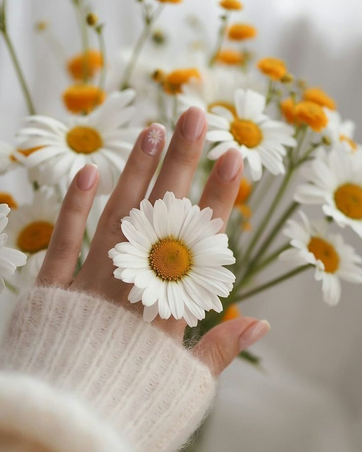 عکس دختر با گل بابونه 13