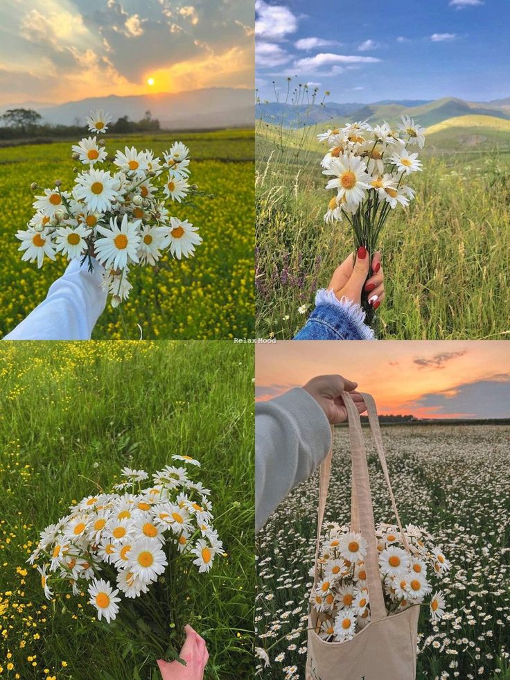 عکس دختر با گل بابونه 15