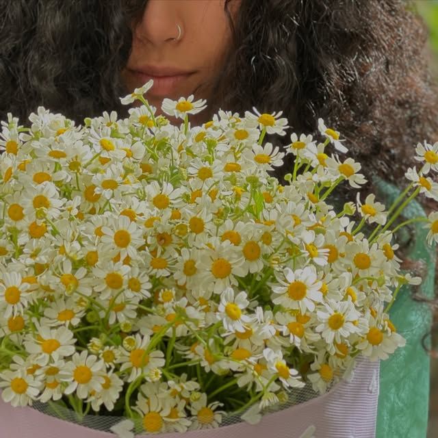 عکس دختر با گل بابونه -26 عکس دختر با گل بابونه 26
