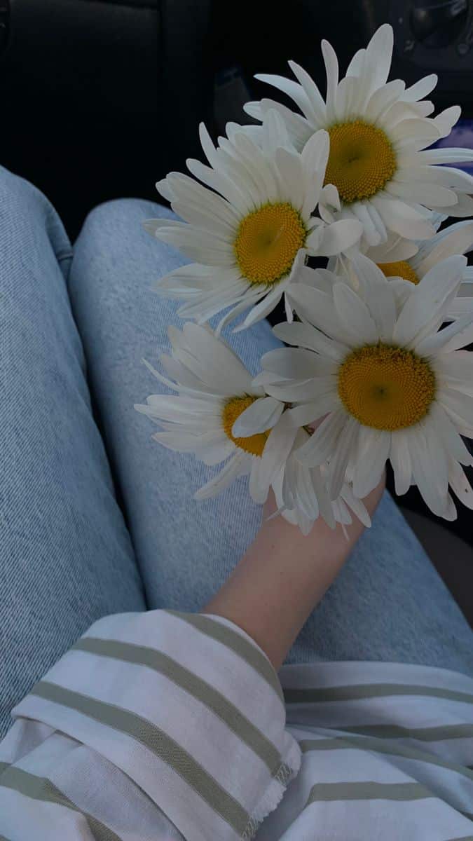 عکس دختر با گل بابونه 31